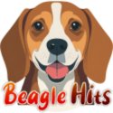 109 beaglehits.com - Mnual TE